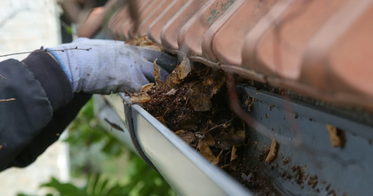 A gloved hand pulls wet, decomposed leaves and debris out of a metal gutter beneath a tiled roof edge.