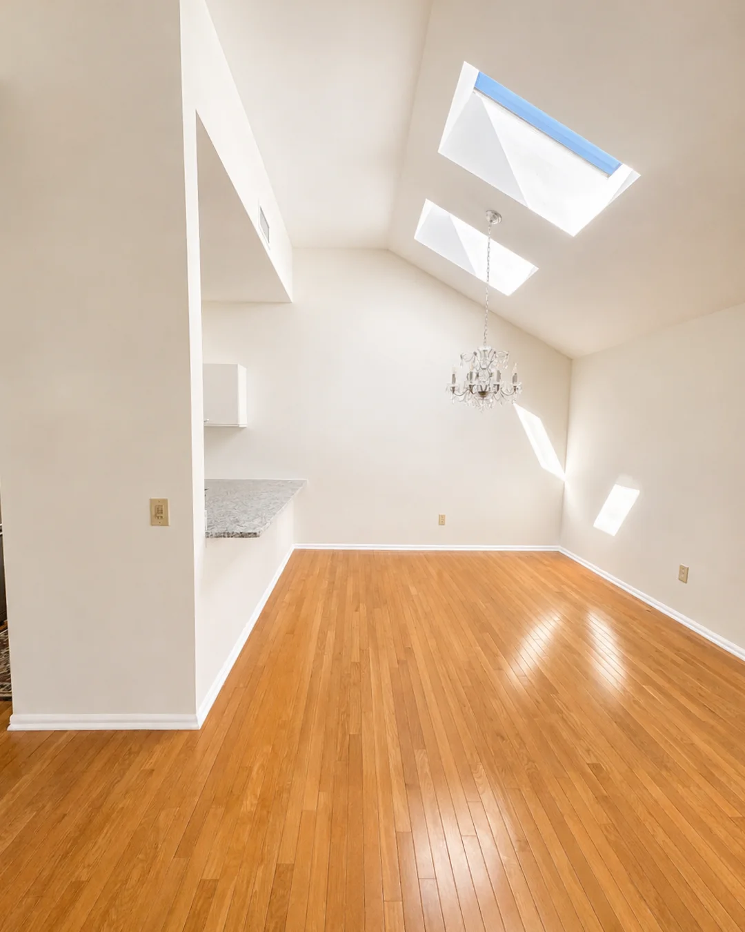Freshly painted interior room with vaulted ceilings, skylights, and white trim.