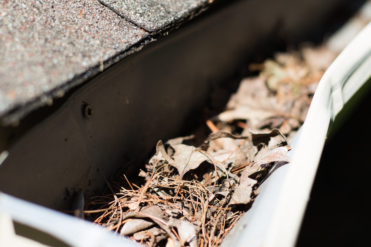 Reasons Why Cleaning Your Gutters Is More Important Than You Think Ag Williams