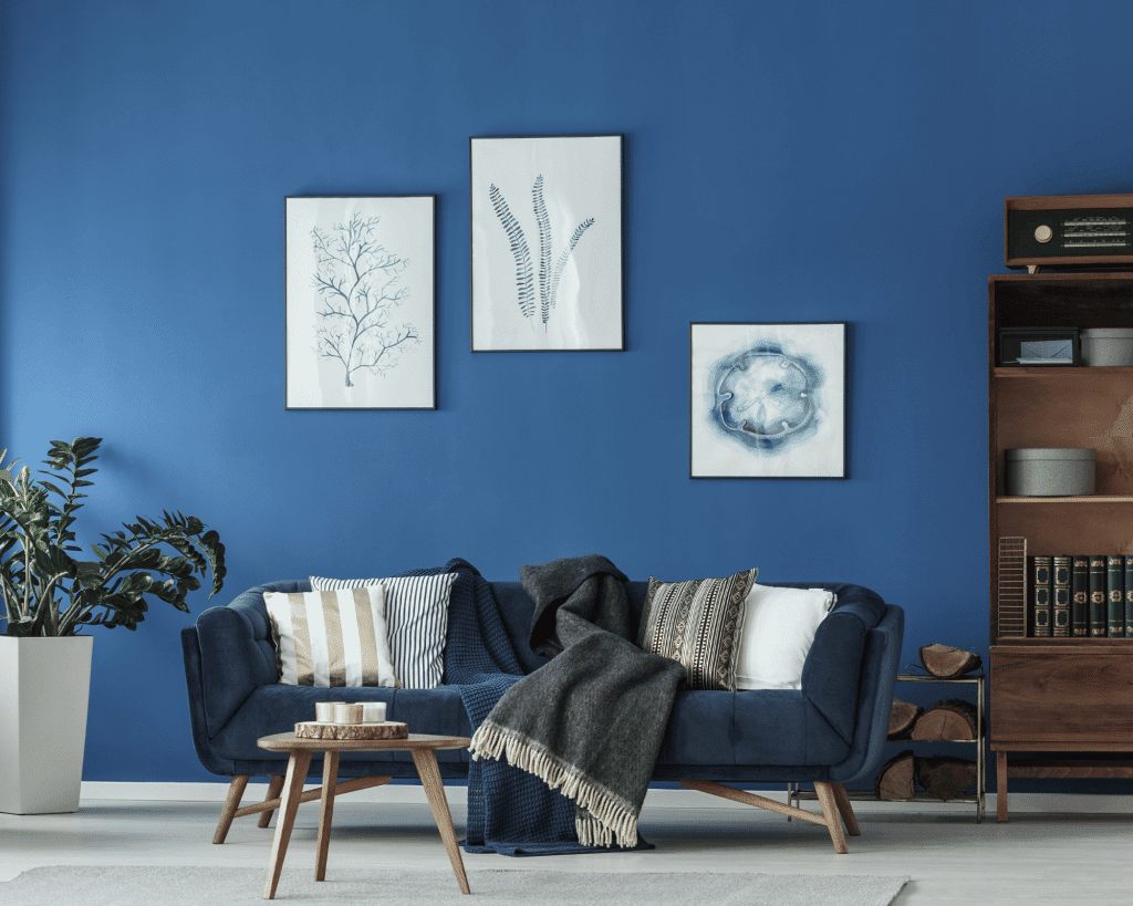 dark blue wall with a matching blue couch and three photos on the wall with sea creatures