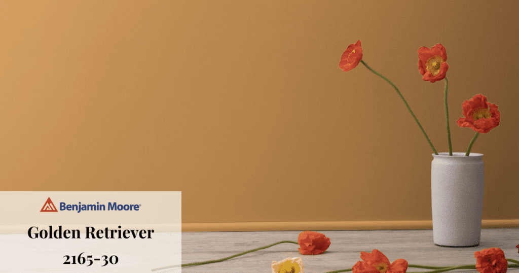 A wall painted in Benjamin Moore's "Golden Retriever" 2165-30, with a minimalist vase holding bright orange flowers.