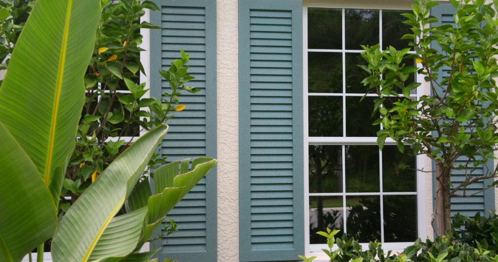 A close-up of a house window with blue shutters surrounded by greenery, showcasing fresh exterior paintwork.