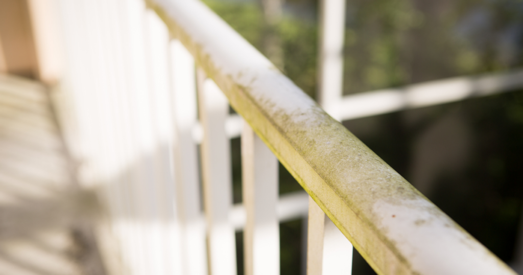 A white railing covered in green mold, illuminated by sunlight, showing the need for cleaning and restoration.